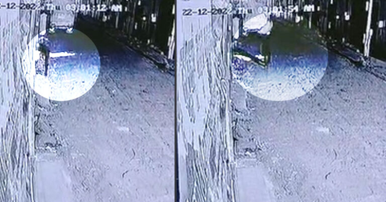 ಮಧ್ಯರಾತ್ರಿ ಬಂದು ಹಣ್ಣು ಕದ್ದ ಕಳ್ಳ