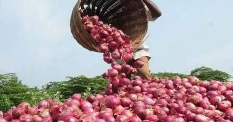 ಈರುಳ್ಳಿ ರಫ್ತು ನಿಷೇಧ ತೆಗೆದುಹಾಕಿದ ಸರ್ಕಾರ, ಪ್ರತಿ ಟನ್ಗೆ MEP $550 ಬೆಲೆ ನಿಗದಿ ಈರುಳ್ಳಿ ರಫ್ತು ನಿಷೇಧ ತೆಗೆದುಹಾಕಿದ ಸರ್ಕಾರ, ಪ್ರತಿ ಟನ್ಗೆ MEP $550 ಬೆಲೆ ನಿಗದಿ