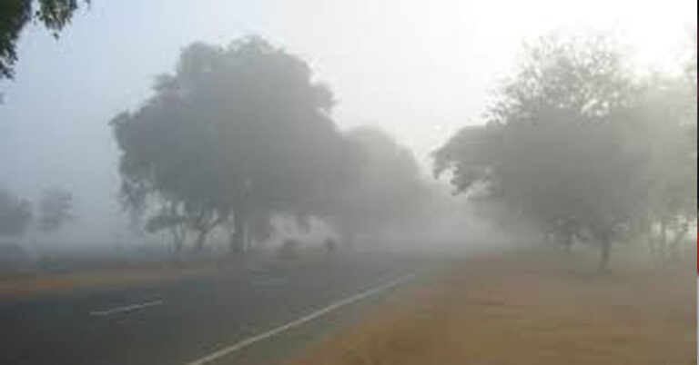 ಚಳಿಗಾಲಕ್ಕೂ ಮುನ್ನವೇ ಮಂಜು ಮುಸುಕಿದ ವಾತಾವರಣ