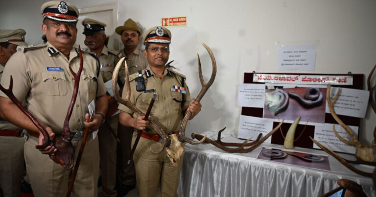 ಎರಡು ತಲೆ ಹಾವು, ಜಿಂಕೆ ಕೊಂಬು, ಆನೆ ದಂತ ವಶ