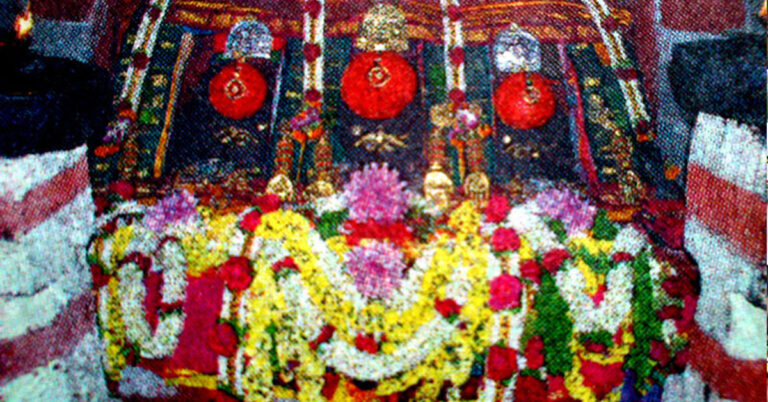 ಅ.24ರಿಂದ ಸಿದ್ದೇಶ್ವರ ಹಾಗೂ ಹಾಸನಾಂಬ ದರ್ಶನೋತ್ಸವ ಅ.24ರಿಂದ ಸಿದ್ದೇಶ್ವರ ಹಾಗೂ ಹಾಸನಾಂಬ ದರ್ಶನೋತ್ಸವ