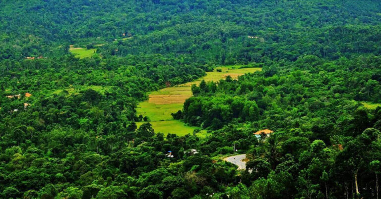 ಗುಂಡಿನ ಚಕಮಕಿ : ಕೊಡಗು ಜಿಲ್ಲೆಯ ಅರಣ್ಯ ವ್ಯಾಪ್ತಿಯಲ್ಲಿ ಹೈಅಲರ್ಟ್