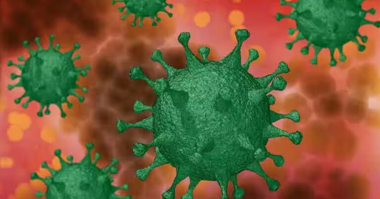 Covid 19 Coronavirus
