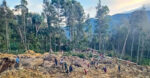 Papua New Guinea landslide