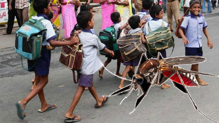 Dengue Schools