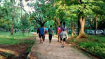 Bengaluru Parks