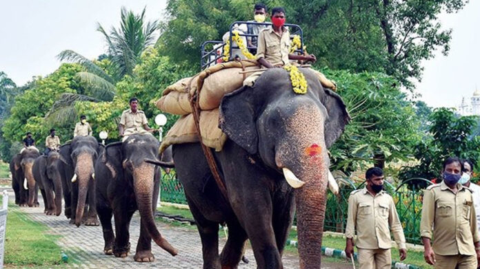 Elephant Abhimanyu