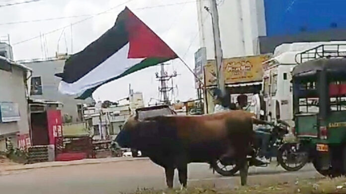 Palestine flag in chikkamagaluru