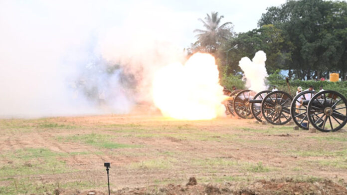 Dasara Elephants