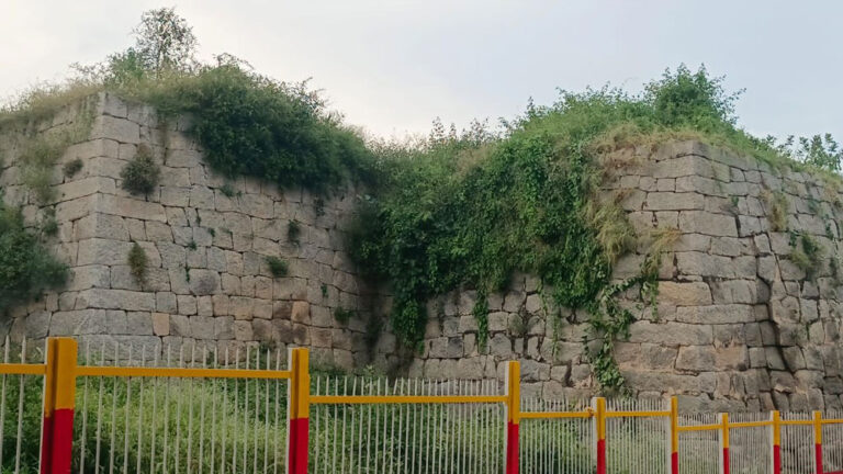 Plants growing in Ekashila Hill in Madhugiri are causing fear