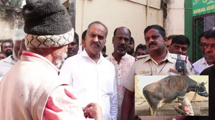 Miscreants cut 3 cows' udders in Chamarajpet; Police launch investigation