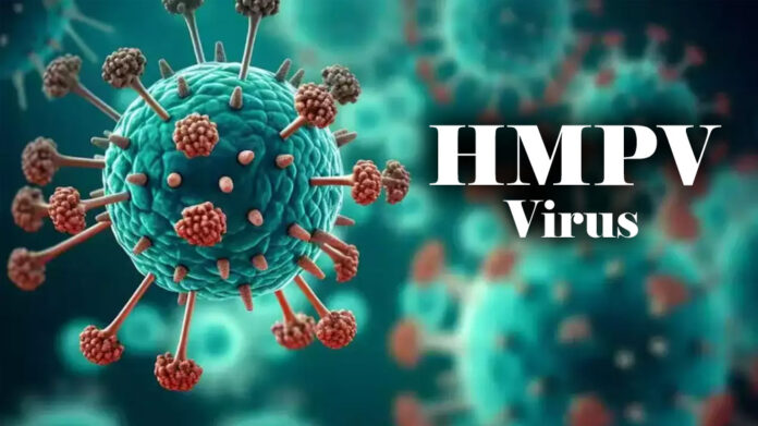 HMVP Virus