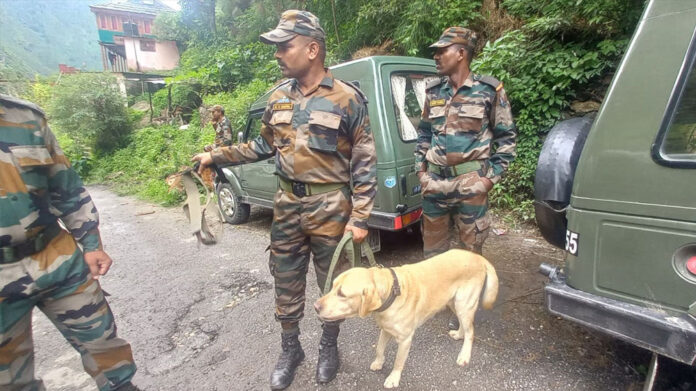 Army sniffer dogs