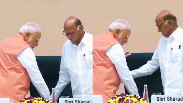 Modi Sharad Pawar