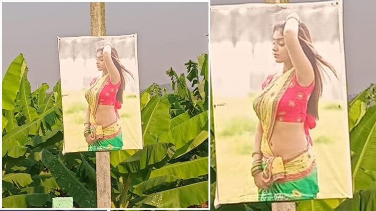 ಬೆಳೆಗೆ ದೃಷ್ಟಿ ಬೀಳದಂತೆ ಸುತ್ತ ಅರೆಬೆತ್ತಲೆ ಮಾಡೆಲ್‌ಗಳ ಫೋಟೋಗಳನ್ನಿಟ್ಟ ರೈತ