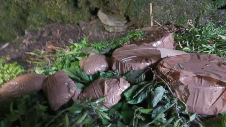 ಉಗ್ರರ ಅಡಗು ತಾಣದ ಮೇಲೆ ಭದ್ರತಾ ಪಡೆ ದಾಳಿ, ಸ್ಫೋಟಕ ವಶ