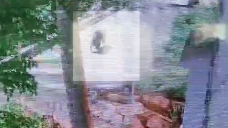 ಕಾಡಿನಿಂದ ನಾಡಿಗೆ ಬಂದ ಕರಡಿಗಳು, ಜನರಲ್ಲಿ ಆತಂಕ