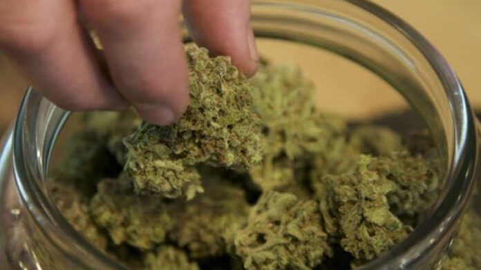 Hydro ganja