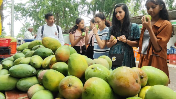Mango Price