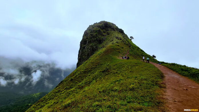 Ettina Bhuja