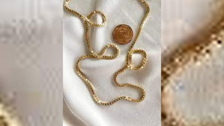 ಪಿತೃ ಪಕ್ಷಕ್ಕೆ ಬಂದು ಅಕ್ಕನ ಸರವನ್ನೇ ಎಗರಿಸಿದ ತಮ್ಮ