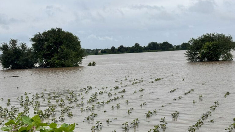 ಉತ್ತರ ಕರ್ನಾಟಕದಲ್ಲಿ ಮಳೆ ಅಬ್ಬರ, ಜನ ಜೀವನ ತತ್ತರ