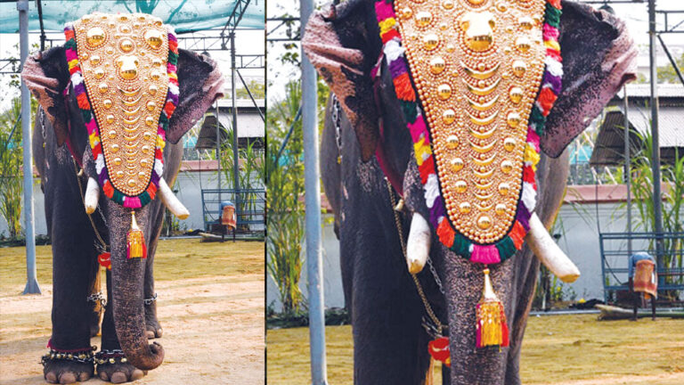 ಸಿರಿಗೆರೆ ಮಠಕ್ಕೆ ಬರಲಿದೆ ‘ರೋಬೊ’ ಆನೆ