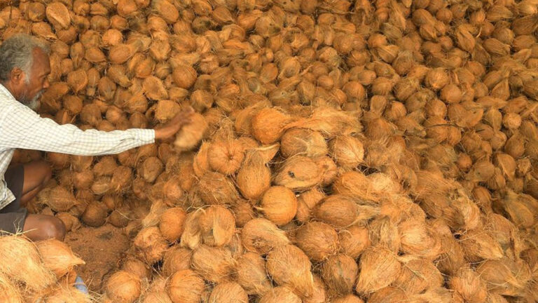 ತೆಂಗಿನಕಾಯಿ ವ್ಯಾಪಾರಿಗೆ 49.47 ಲಕ್ಷ ರೂ. ವಂಚನೆ