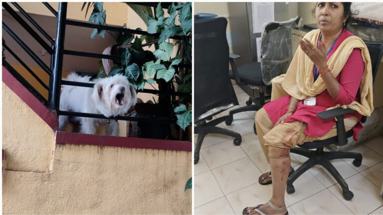 ಬೆಂಗಳೂರಲ್ಲಿ ಸಮೀಕ್ಷೆ ನಡೆಸುತ್ತಿದ್ದವರ ಮೇಲೆ ಸಾಕು ನಾಯಿ ದಾಳಿ