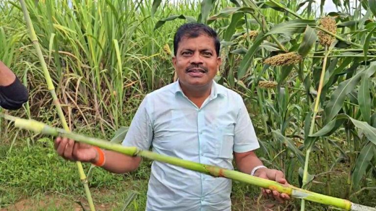 ಜೋಳದ ದಂಟಿನಿಂದ ಸಿಹಿಬೆಲ್ಲ ತಯಾರಿಸಿದ ಪ್ರಗತಿಪರ ರೈತ ಮಹಾಲಿಂಗಪ್ಪ ಇಟ್ನಾಳ ಸಾಹಸ