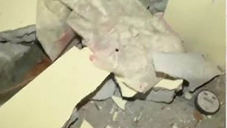 ಬೆಂಗಳೂರು : ಸಿಲಿಂಡರ್‌ ಸ್ಫೋಟ, ನಿವೃತ್ತ ಯೋಧ ಗಂಭೀರ