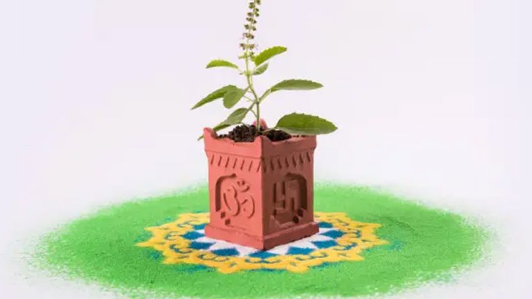 ನಾಡಿನಾದ್ಯಂತ ತುಳಸಿ ಹಬ್ಬದ ಸಂಭ್ರಮ