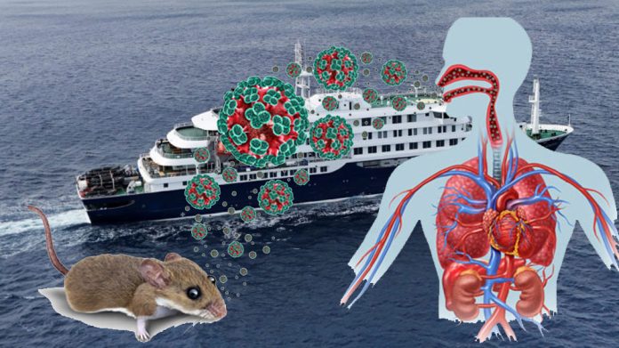 Hantavirus