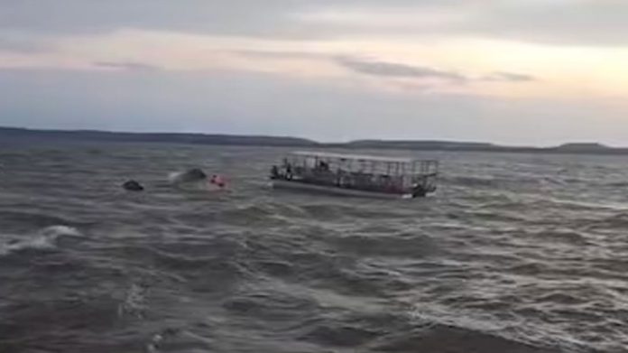 Cruise Boat With 29 On Board Sinks In Madhya Pradesh