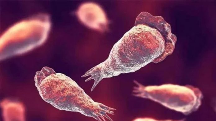 Encephalitis