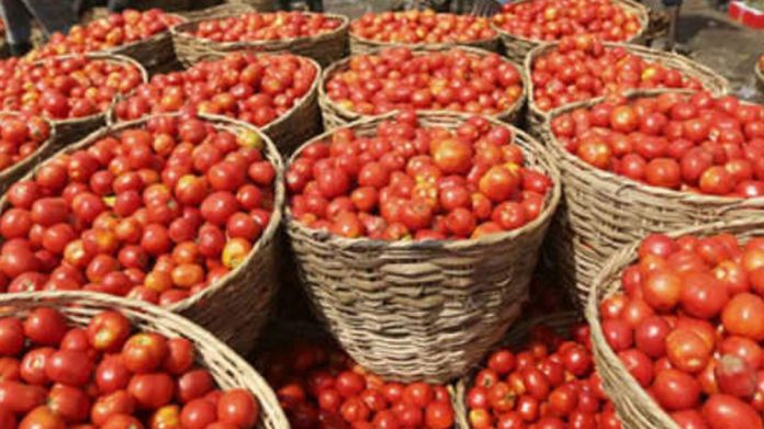 Tomato