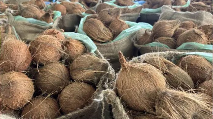 coconut PRice
